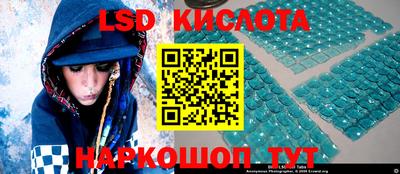 дмт Новокубанск