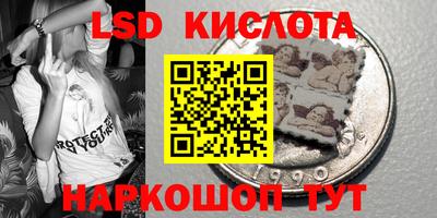 амф Новодвинск