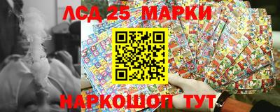амф Новодвинск