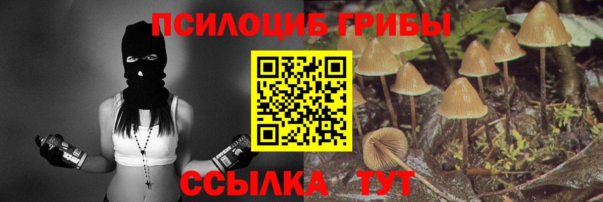 Галлюциногенные грибы Cubensis  Псилоцибиновые грибы мухоморы  Свободный  Вход с VPN 