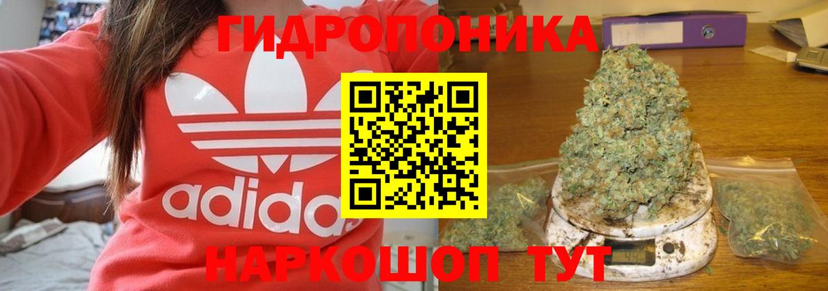 Бошки марихуана тримм  Вход с VPN  МАРИХУАНА марихуана  Свободный 